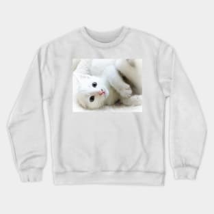 Lucy Crewneck Sweatshirt